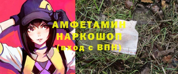 прущие грибы Алзамай