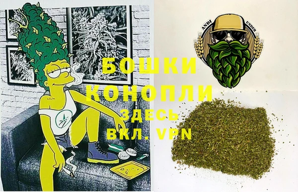 прущие грибы Алзамай