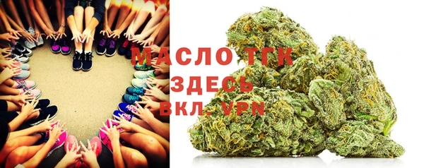прущие грибы Алзамай